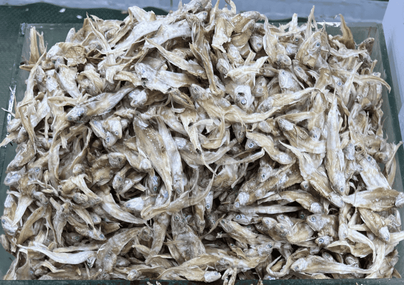 সুন্দরী শুটকি